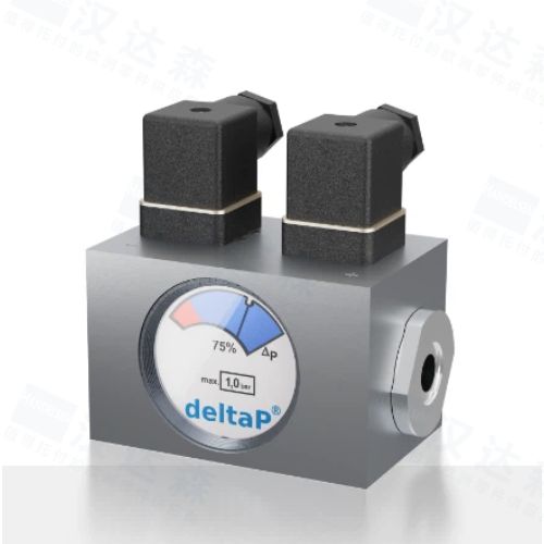 ��FRIEDRICHS�ָʾ��DP 5.04