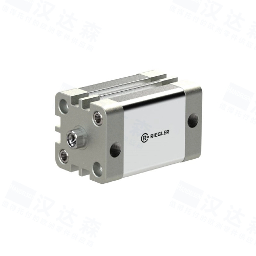 ��(gu��)RIEGLER���15.DMI.12005