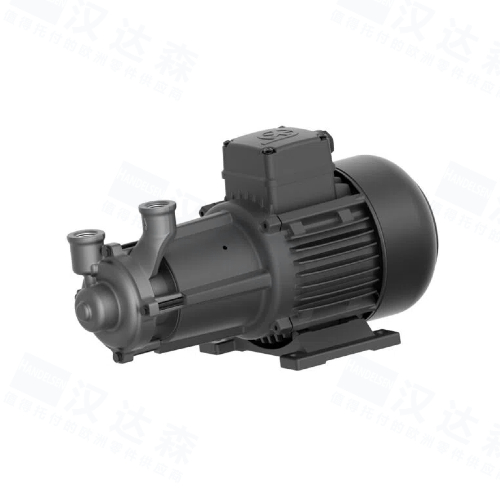 ��(gu��)BRINKMANN PUMPS�x�ı�BMK